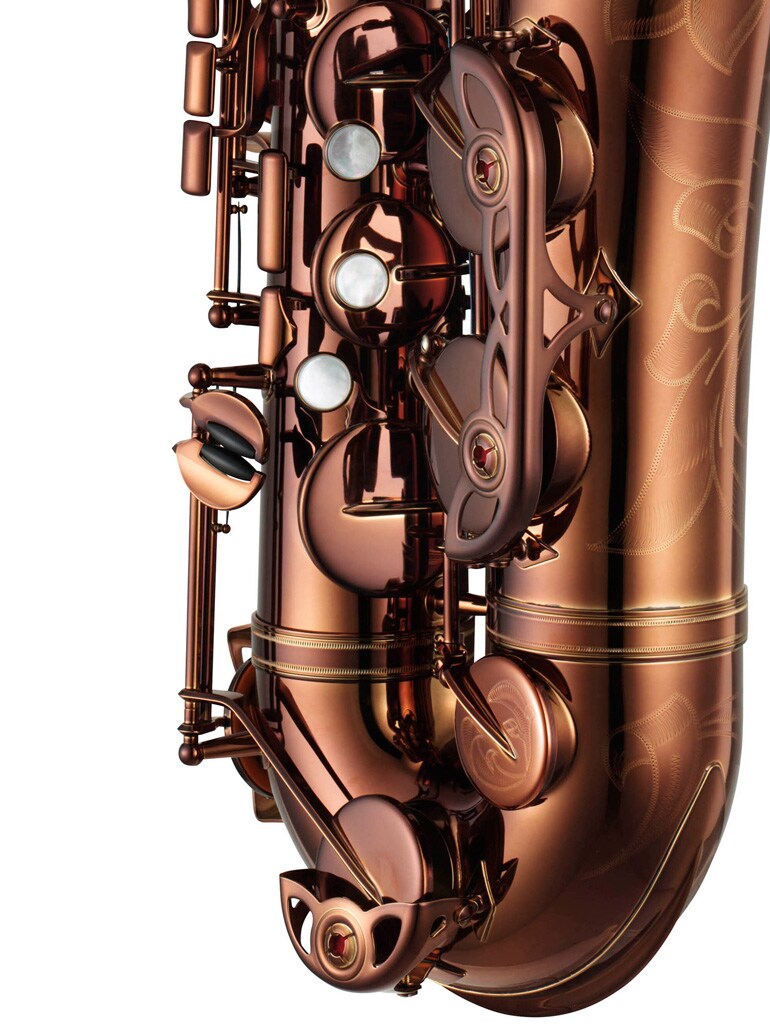 Geteilter Klappenschutz