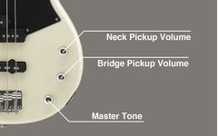 Close-up of Master Tone, Neck Pickup Volume, and Bridge Pickup Volume knobs