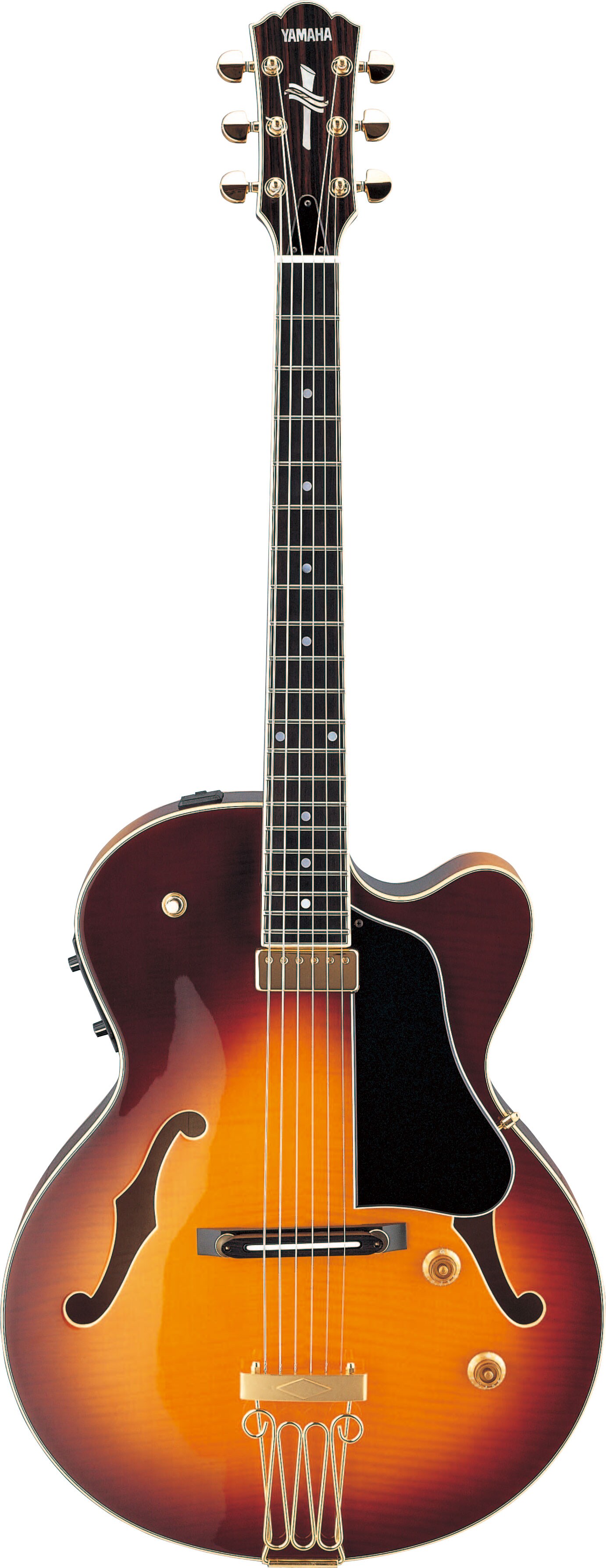 AEX1500 - Übersicht - Elektrische Gitarren - Produkte - Gitarren