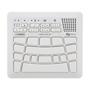 Top view of FGDP-30 