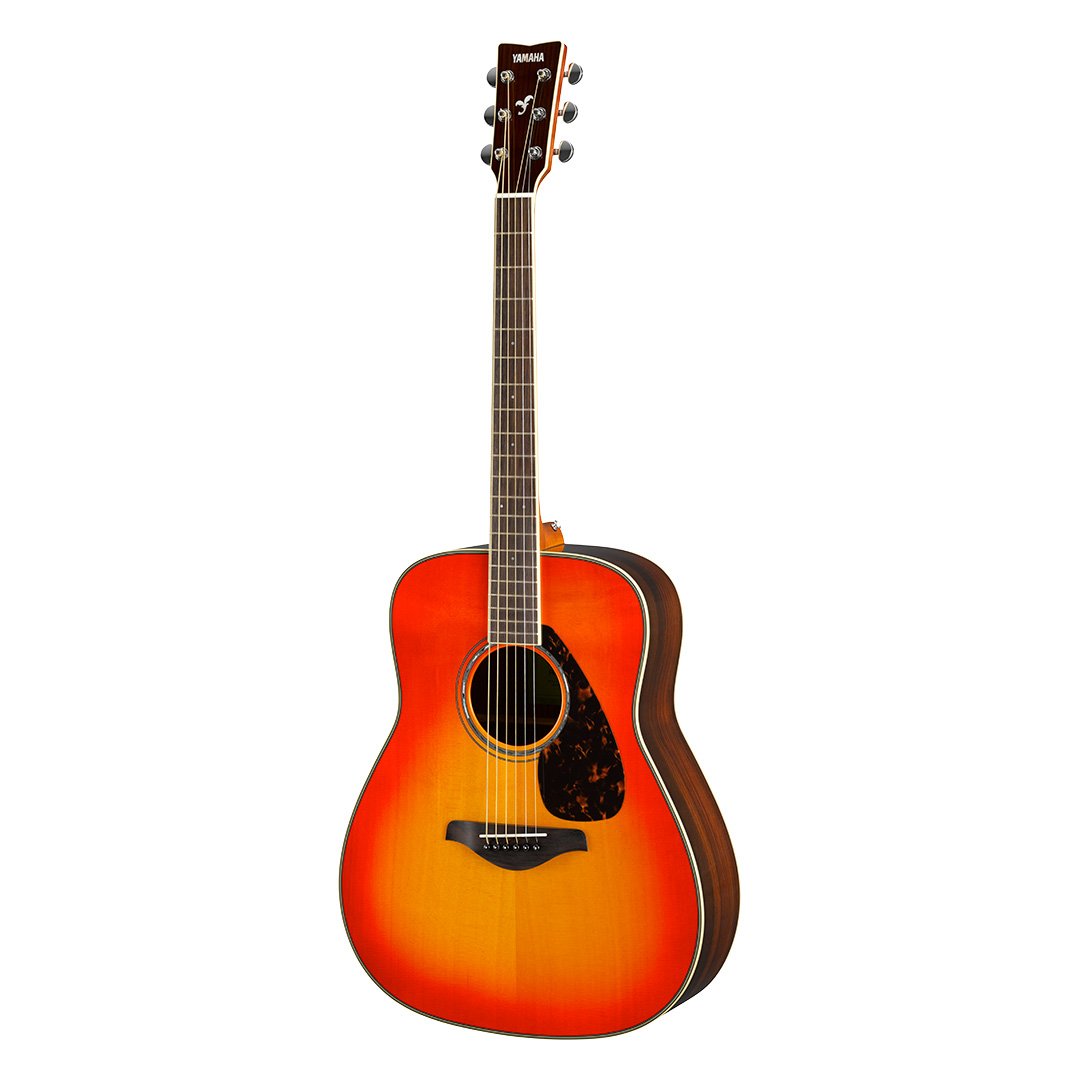 FG / FS800 - Übersicht - FG Series - Westerngitarren - Gitarren ...