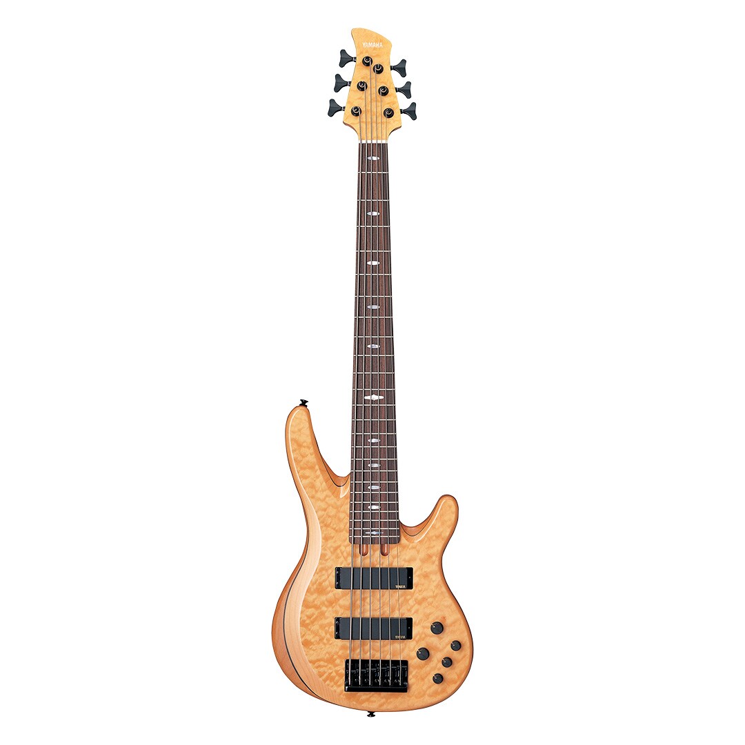 Elektrische Bassgitarren - Produkte - Gitarren, Bässe & Verstärker