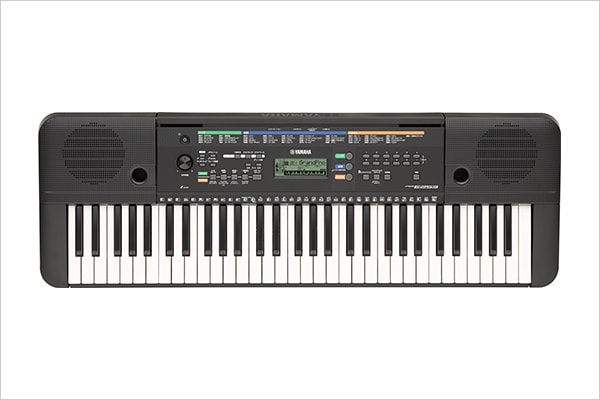 PSR-E253
