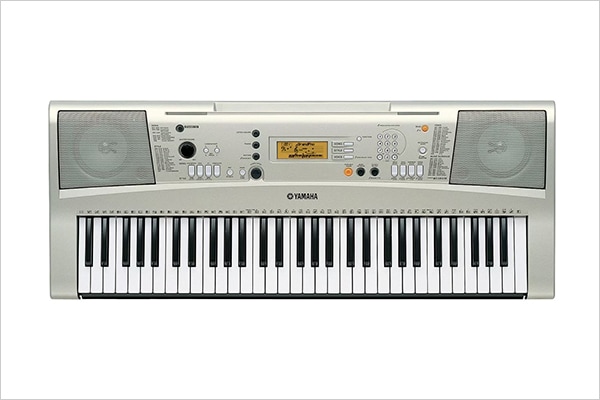 PSR-E313