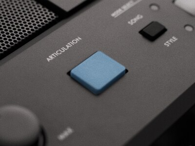 PSR-E483 Hauptbild der ARTICULATION-Taste