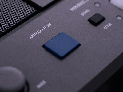 PSR-E583 Hauptbild der ARTICULATION-Taste