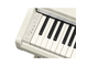 YDP-166_Weiße Birke_Tastatur_links