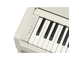 YDP-S36_Weiße Birke_Tastatur_links