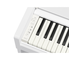 YDP-S36_Weiß_Tastatur_links